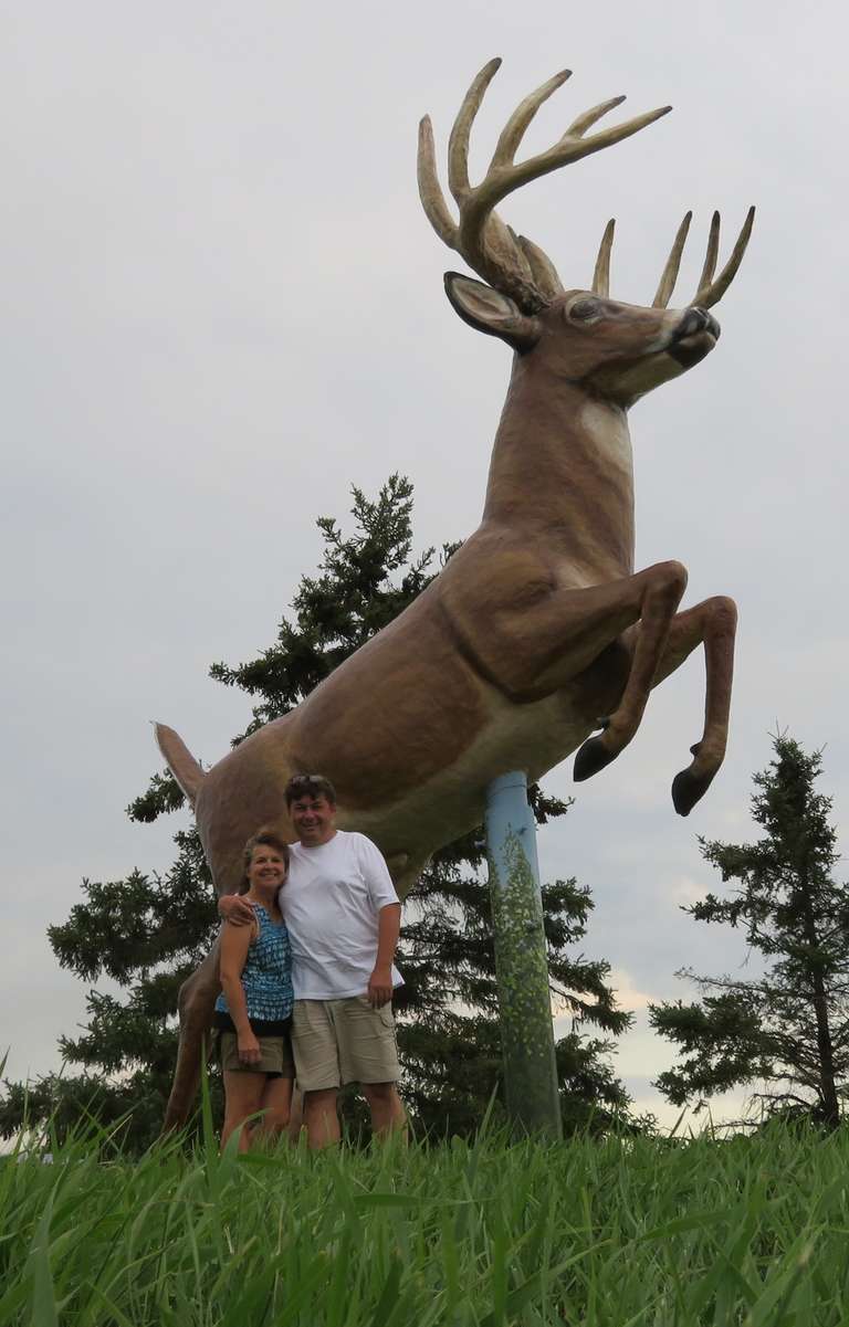 Poplarfield - King Buck