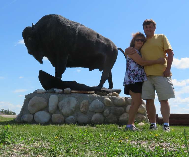 Swan Lake First Nation - Buffalo