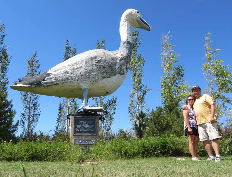 Dunrea - Cabrea The Snow Goose