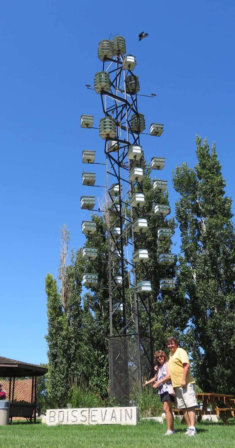 Boissevain - Purple Martin Colony 