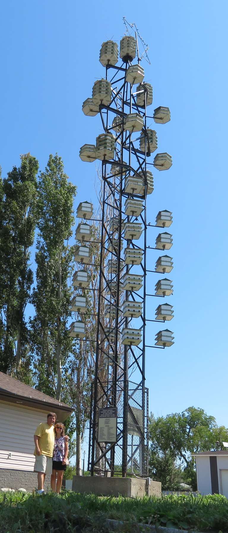 Deloraine - Purple Martin Tower