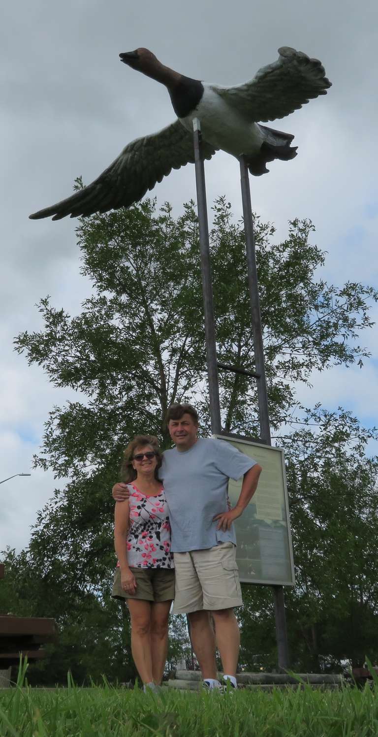Minnedosa - Canvas Back Duck