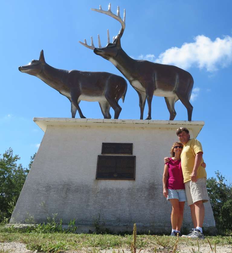St Malo - Urban Deer Relocation Statue