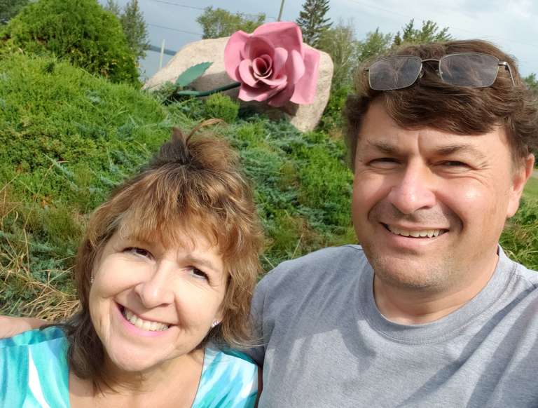 Sandy Lake - The Rose