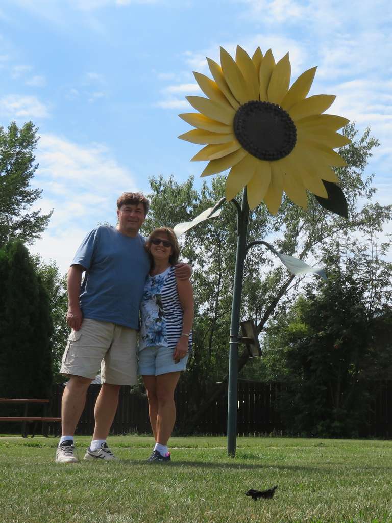 Minitonas - Sunflower