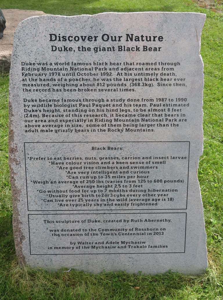 Rossburn - Duke the Bear Plaque