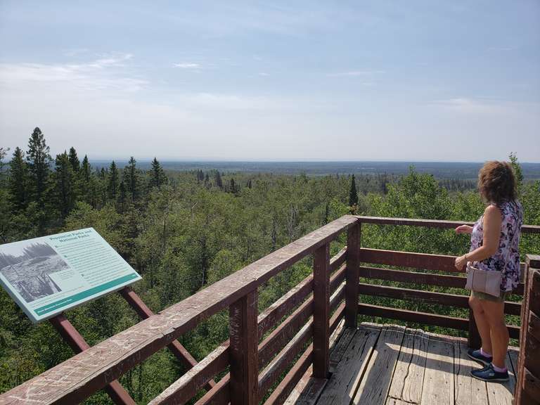 Baldy Mountain Lookout Tower - Duck Mountain Provincial Park