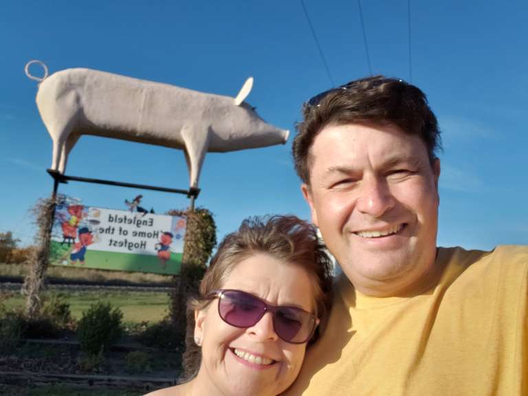 Giant Pig - Englefeld SK.