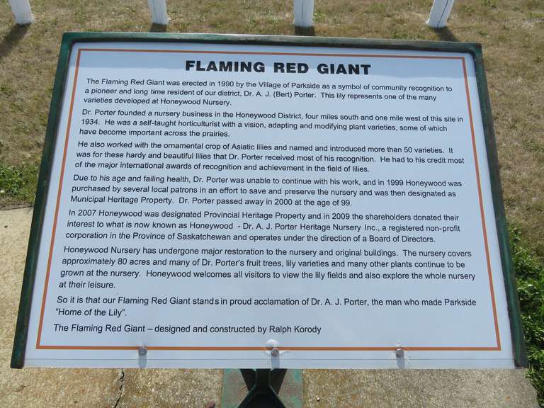 Giant Lily Plaque - Parkside SK.