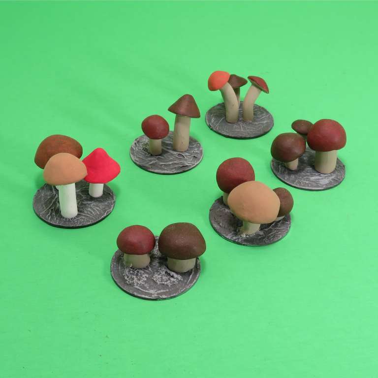 Mushroom Patch