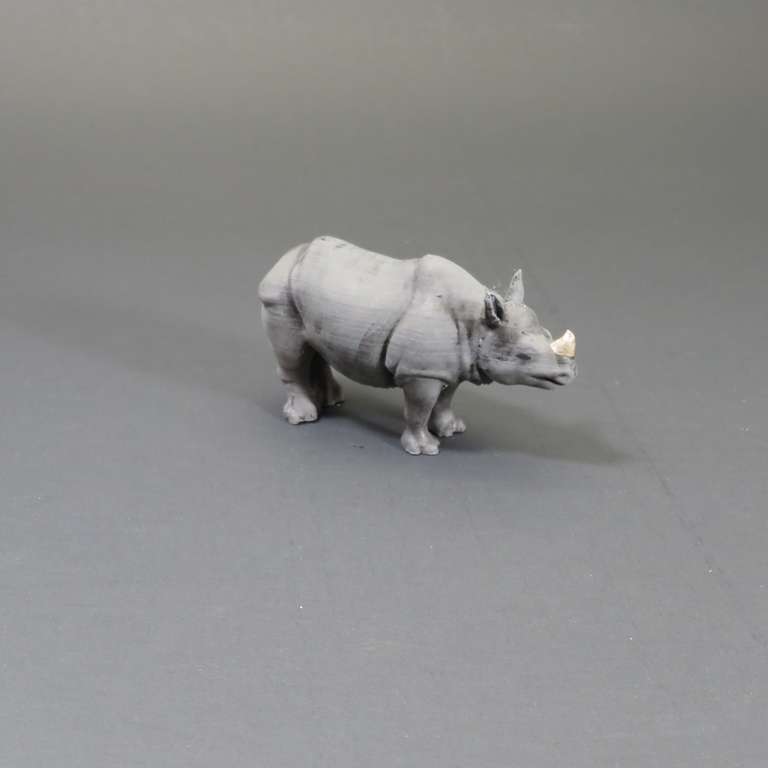Rhinoceros