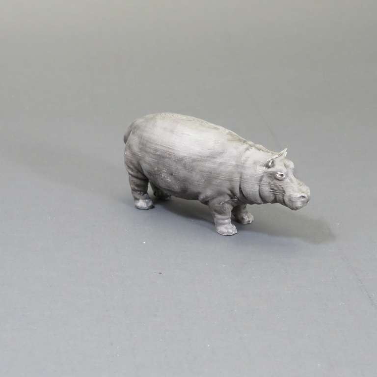 Hippopotamus