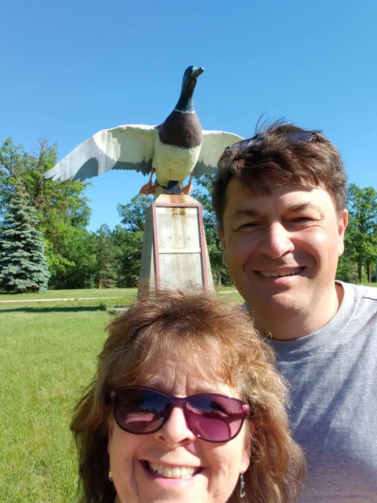 Petersfield - Giant Mallard Duck