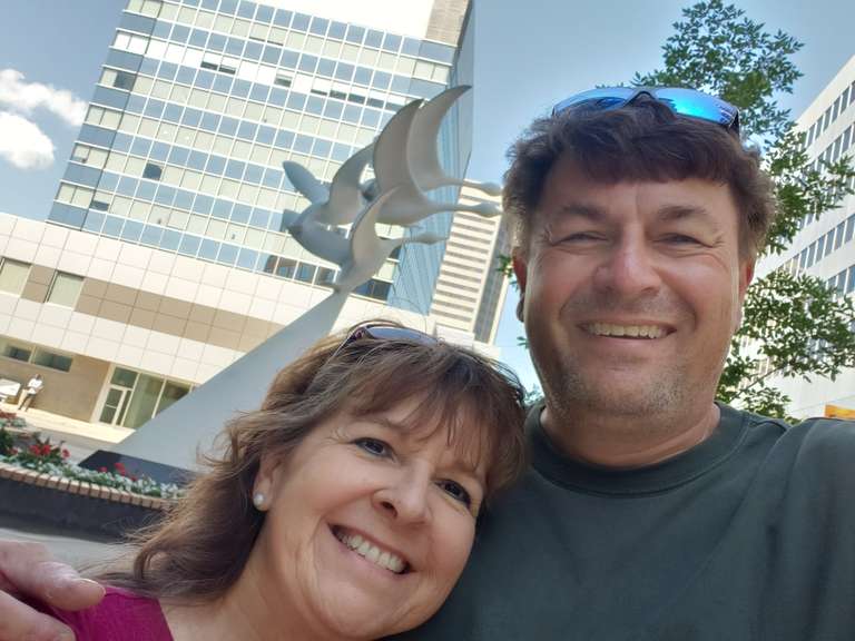 Canadian Geese - Regina, SK.