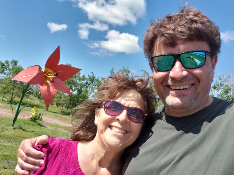 Lilies - Melville, SK.