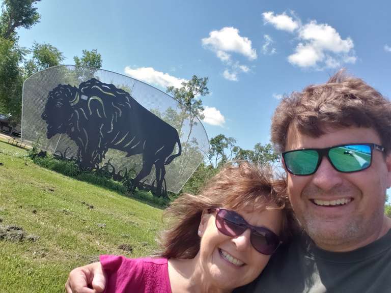 Metal Buffalo - Melville, SK.