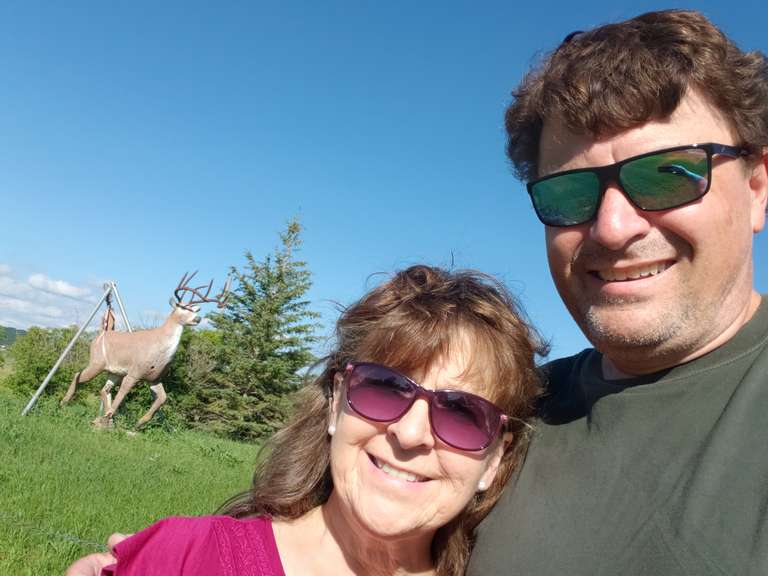 Whitetail Deer - Tantallon, SK.