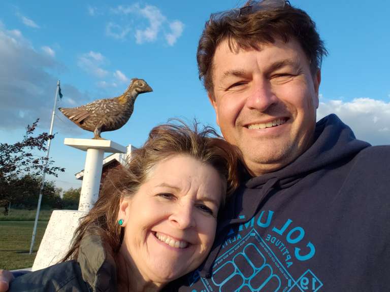 Sharp Tailed Grouse - Sheho, SK.