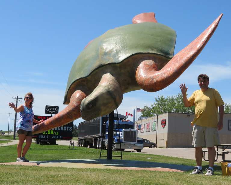 Mordan - Archelon Turtle