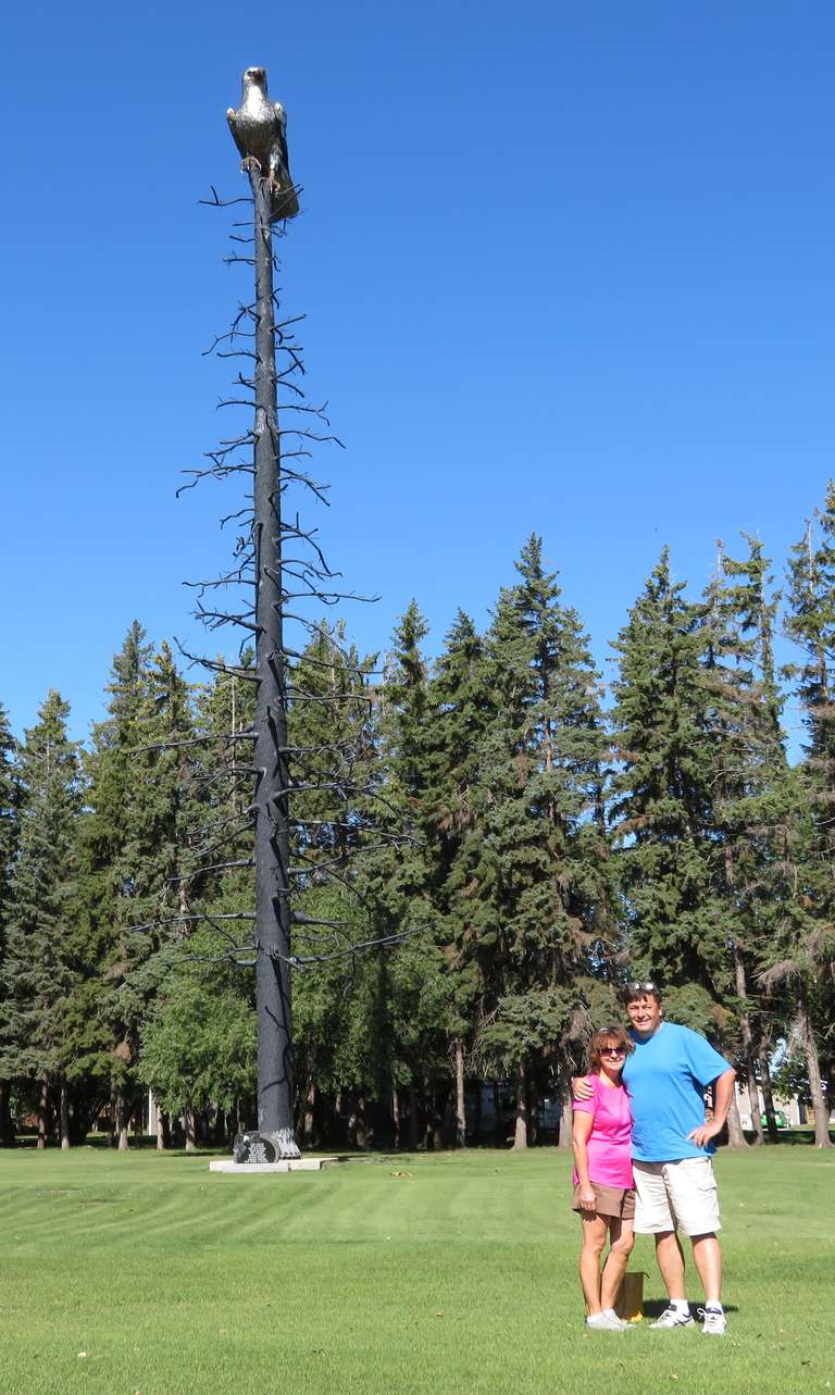 Portage la Prairie - Eagle in a Tree