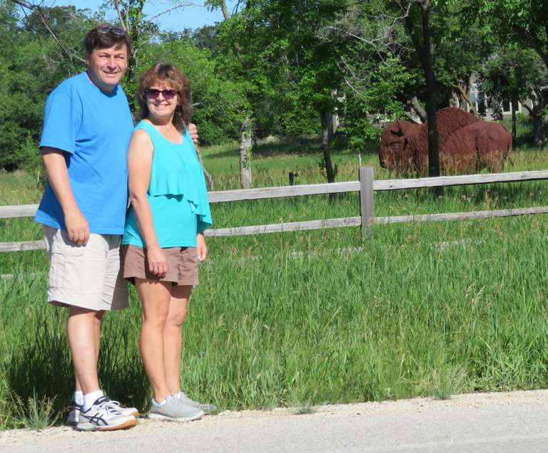 St. Andrews - Bison on River Rd